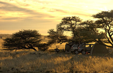 Kgalagadi & Botswana Self Drive Guided Tours and Safaris