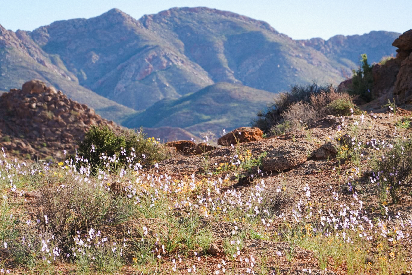 Home 92d99730 18bb 4b45 bc62 131b59d790da